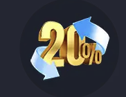 20%
