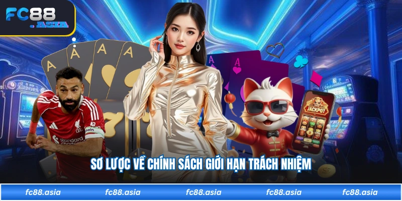 Sơ lược về chính sách giới hạn trách nhiệm